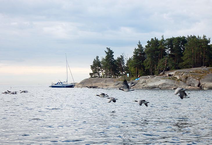 Островок Pikku Leikossari около Пуотилы. Здесь останавливаются и яхтсмены, и каякеры.