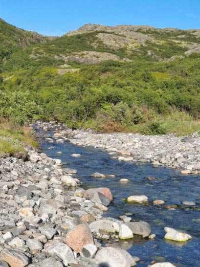 ����� ����� � ��������.