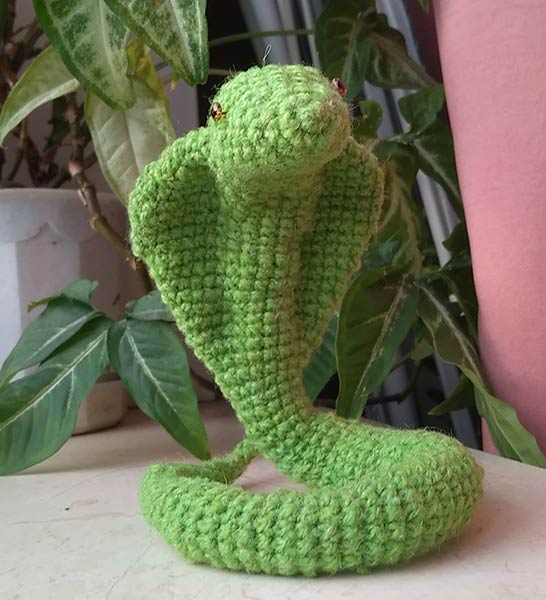 ������ 2025 ����