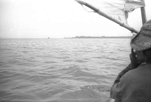 ��������� �������� � ����� - ����, ��������, ��������-������������. 